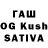 Amphetamine Premium Kateyryna Batva