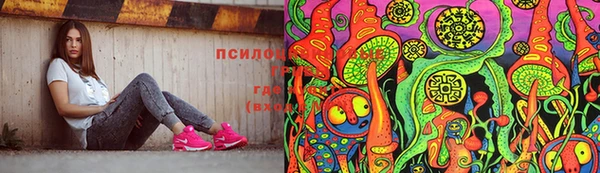 прущие крисы Балахна