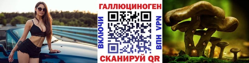Галлюциногенные грибы GOLDEN TEACHER  как найти закладки  Пущино 